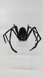 Spider in Black