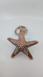 Natural Starfish Harness / Necklace