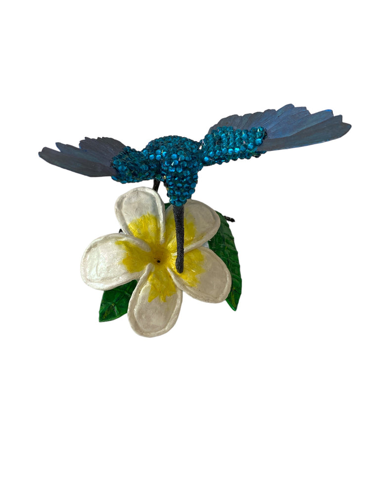 Casual Hummingbird | Large