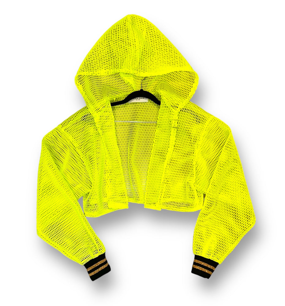 Hi-Lit Cropped Mesh Hoodie