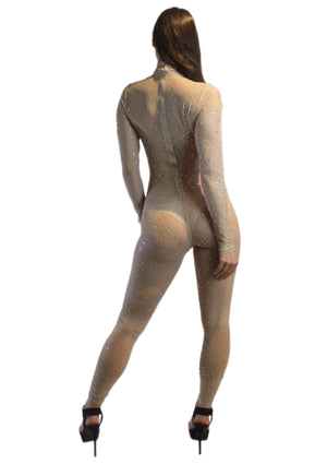 Nude Crystal Mesh Catsuit
